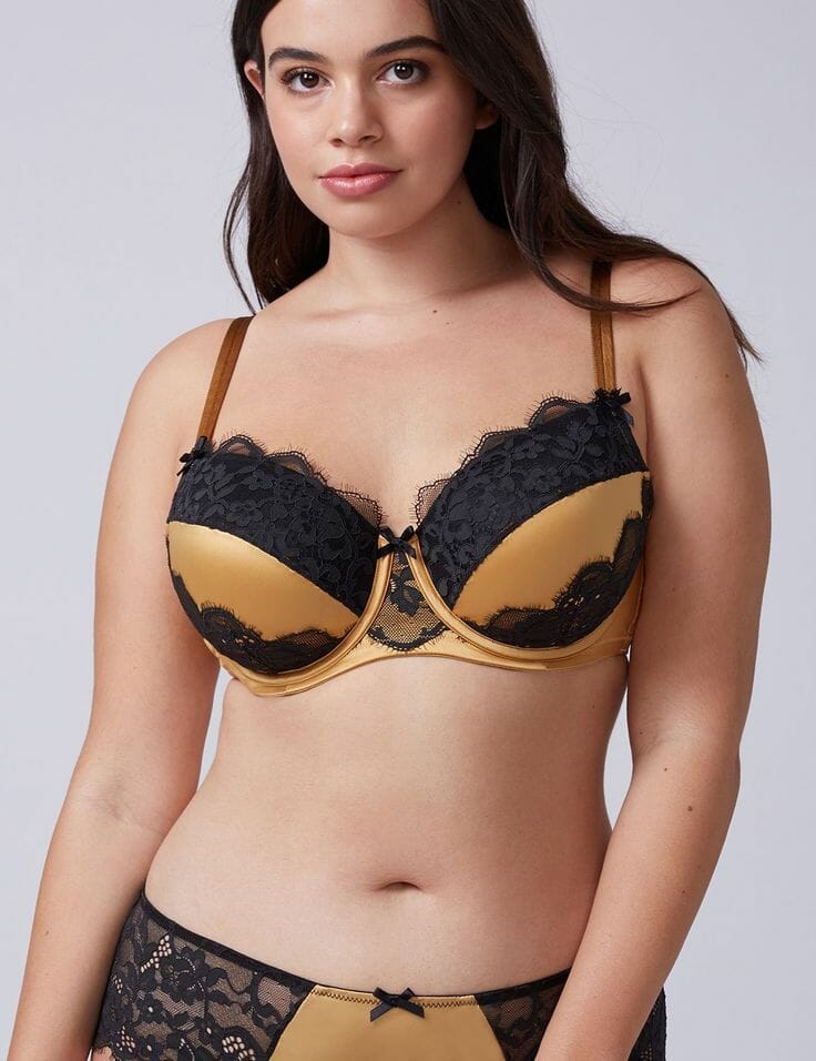 Lane Bryant Satin and Lace Bra Set - Gold Holiday Plus Size Lingerie