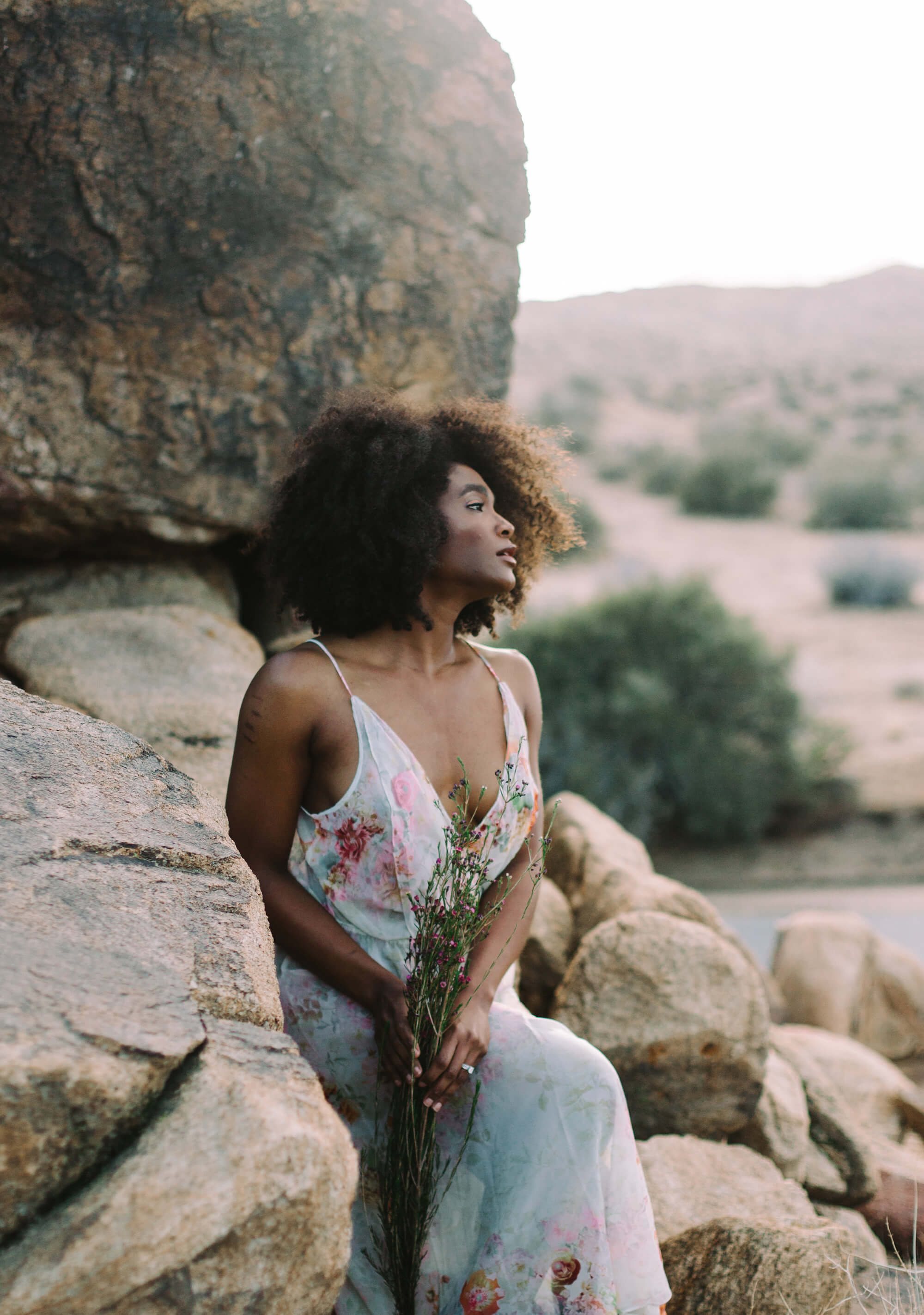 Lingerie Editorial. Michelle Terris Photography. Flora Nikrooz. The Lingerie Addict.