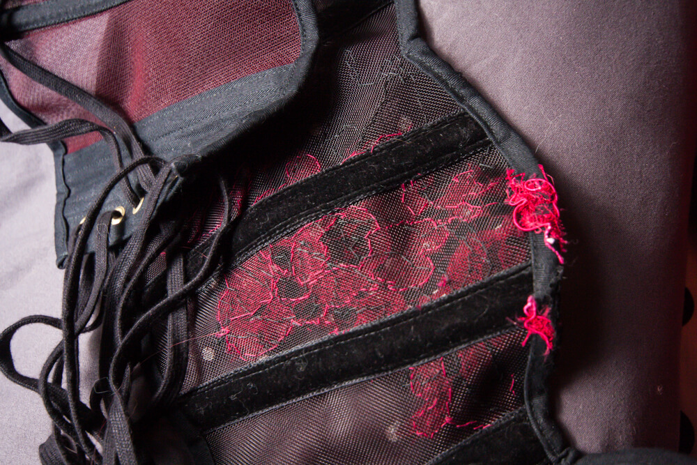 Interior detail of Sparklewren sheer cincher, with velvet internal casings and visible, tidy handstitching from the appliqué.