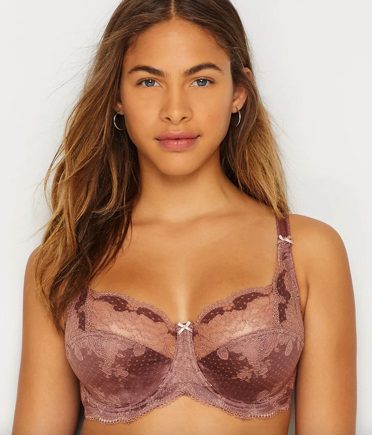 Luxurious Lace Up to a J Cup: Is the Panache Clara the Holy Grail of Full  Bust Bras?