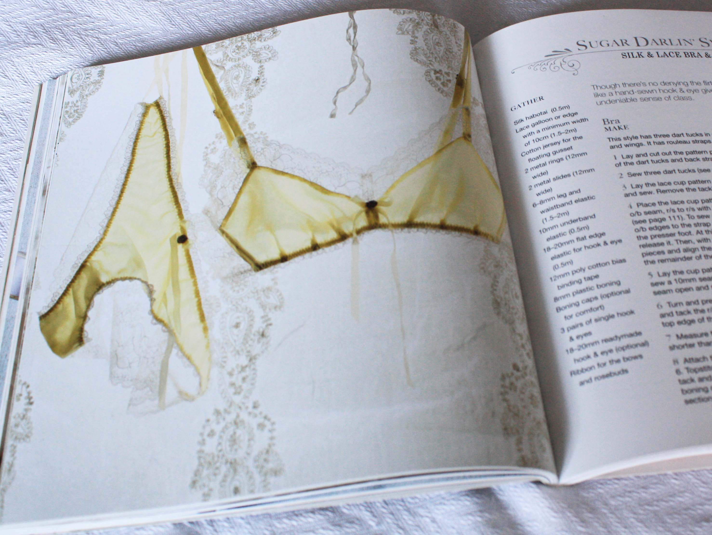 voice College marketing Book Review: The Secrets of Sewing Lingerie by Katherine Sheers and Laura  Stanford