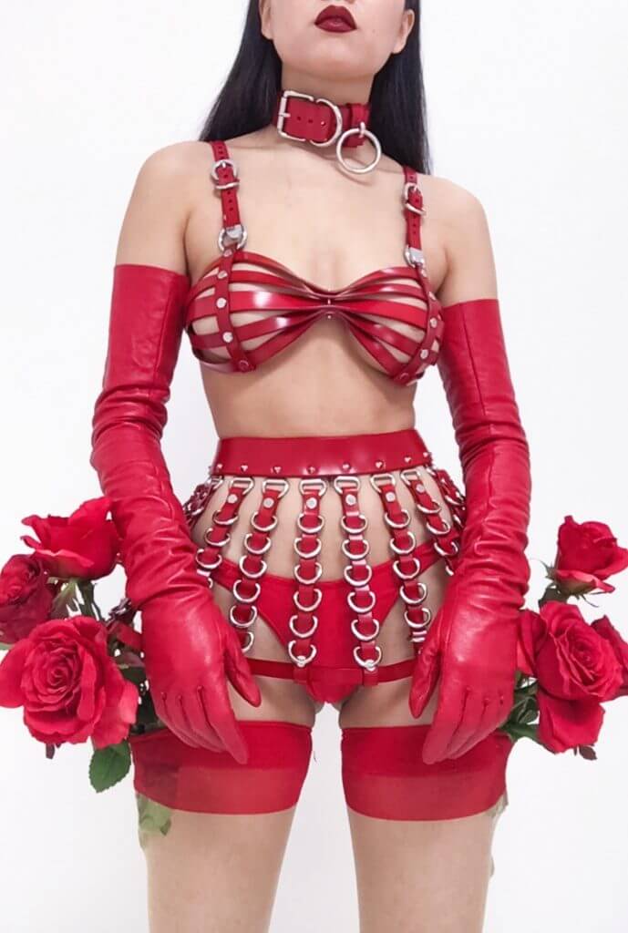Creepy Yeha. Lingerie Trends - Strappy, Bondage, Harness. Red leather bra and skirt; stockings with red tops and roses. Red leather collar.