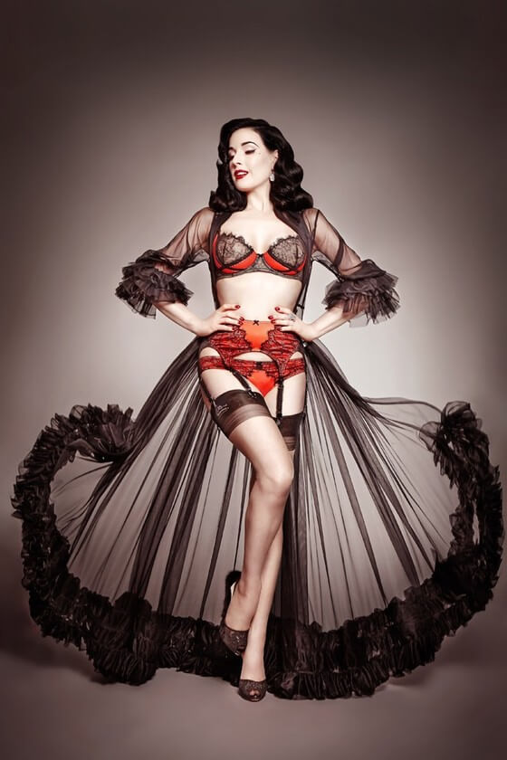 Dita Von Teese Lingerie Mancatcher