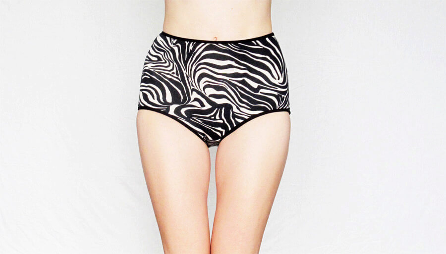 egretta garzetta zebra high waisted panties