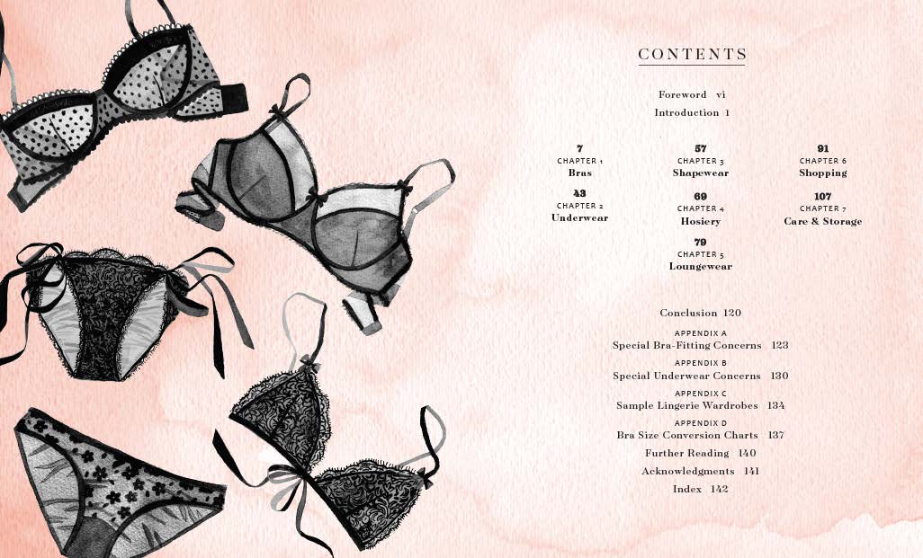 In Intimate Detail  The Lingerie Addict - Everything To Know About Lingerie