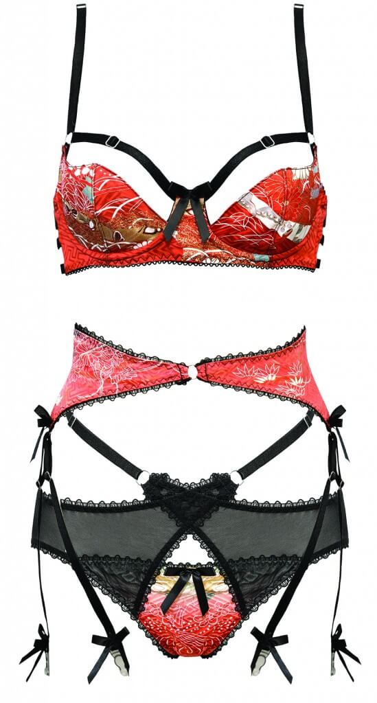 Lingerie Review: Dita von Teese 'Star Lift' Bra Set