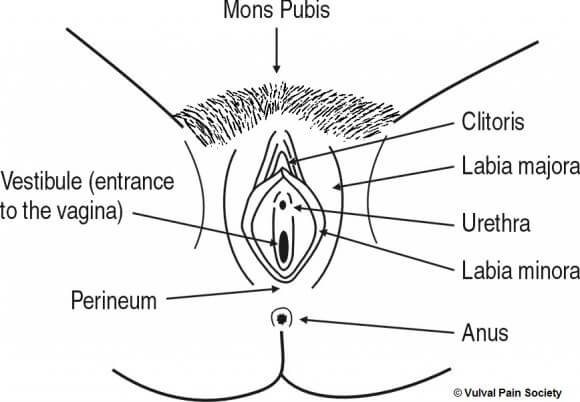 © Vulval Pain Society